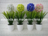 Artificail Plastic Potted Flower (XD14-20)