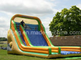 Made in China Outdoor Inflatable Slide