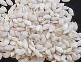 Chinese New Crop Pumpkin Seeds