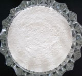 Food Grade Sodium Benzoate Granular & Powder