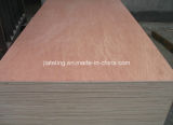 Red Hardwood Packing Plywood, China Plywood Manufacturer