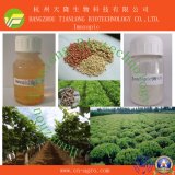Good Quality Herbicide Imazapic (98%TC, 150g/l SL, 240g/L SL, Imazapic + Imazapyr 70% WDG)