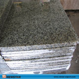 China Green Granite for Floor Wall Step Tile
