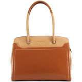 Guangzhou Technical Bag Manufactory Leather Elegant Designer Satchel Handbags (ZH007-B2974)