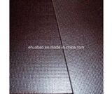 Anti-Slip Film Faced Plywood 18*1220*2440mm