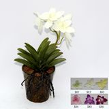 Artificial Potted Flower, Imitative Silk Orchid