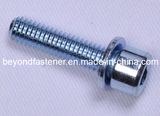 Hex Head Sets Screws, Hex Head Socket Cap Screws, Machine Screws with Flat or Spring Washer (GM005)