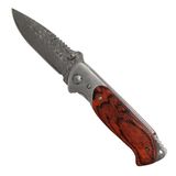 Liner Lock Knife (CK851AS)