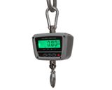 IP65 & CE Certificated 300kg Digital Crane Scale (Plus)