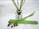 Wick Diffuser