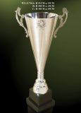 Trophy (WS-3173#)