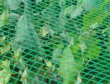 100% Virgin Plastic Knitted Agricultural Net