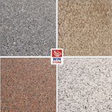 Cheap Natural Granite for Tile, Slab&Countertop