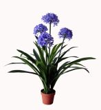 1m Decoration Artificial Hyacinth Flower Bonsai (indoor&outdoor)
