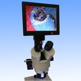 Stereo Microscope Digital Camera with 8'tft-LED Screen Dm001