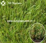 Artificial Turf for Recreation or Garden (QDS-30-6S)