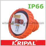 3pin 13A IP66 Weather Proof Plug