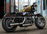 Promotion 2013 Forty-Eight Motorcycle