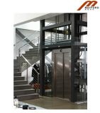 Luxury Home Elevator with 2/2 (DPH35)