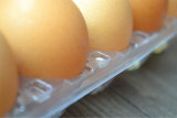 PVC Clear Blister Plastic Egg Tray Box Packaging Egg Pallets Packing