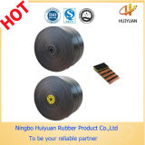 ISO9001, 14000 Standard Conveyor Belt