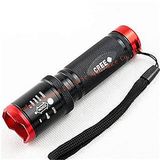 High Power CREE 1W/3W LED Flashlight/LED Torch (DH-Q18))