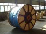 Galvanized Steel Wire Rope