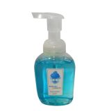 Foam Hand Sanitizer for Personal Care (HS-002)