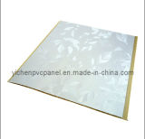 New Laminated PVC Panel/Plastic Building Material for Ceiling and Wall