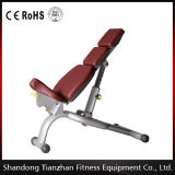Fitness Gym Equipment / Adjustable Bench