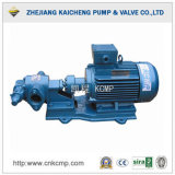 Gear Edible Oil Pump Made in China