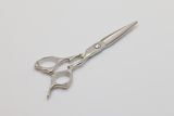 Hair Scissors (D-911)