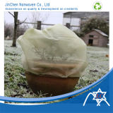 Nonwoven Fabric Ideal for Planter Bag