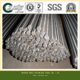 Welded Pipe (904L)