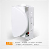 OEM ODM Audio System Ceiling Speaker with CE