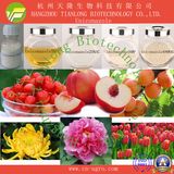 Good Quality Plant Growth Regulator Uniconazole (95%TC, 5%EC, 5%WP, 5%SC, 25%SC, 40%WDG)