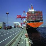 Container Shipping with Best Rate to Manzanillo, Mexico