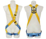 Safety Harness - 2 D Ring, Model# DHQS017