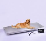 Animal Scale with Large Platform 100-500kg Accept Custom Order