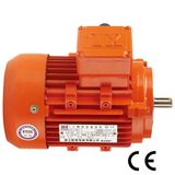 Y2 Series Electric Motor (160M-4/11kw)