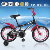 King Cycle Eco Standard Children Bike for Boy Direct From Topest Factory