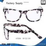 Morden Full Rims Tortoise Acetate Optical Eyewear