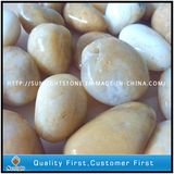 Natural Polished White/Yellow Pebble Stone for Garden Decoration Size In10~30mm, 30~50mm, 50~80mm