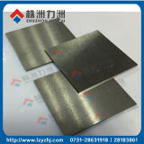 Yg15 Dull Finish Tungsten Carbide Plate for America Market