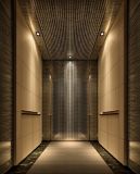Hotel Luxurious Passenger Elevator