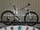 White Popular Alloy Bicycle for Hot Sale (SH-AMTB028)