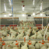Poultry Nipple Drinker Equipment for Chicken (shn001)