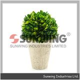 Preserved Pyramid Boxwood Topiary Artificial Plant