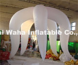 New Exhibition Supply/Party Decoration/Stage Decoration Inflatable LED