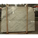 Natural Big Slab Stone White Marble for Sale